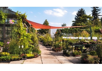 Staudengärtnerei & Gartengestaltung in Dresden – Jentsch