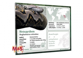 Terraristik in Villingen-Schwenningen – M & S Reptilien Terraristik in Villingen-Schwenningen – M & S Reptilien