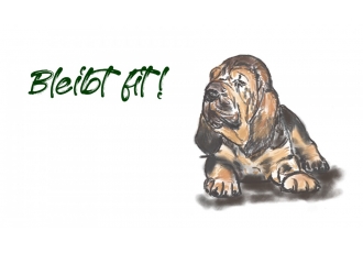 Tierphysiotherapie und Osteopathie für Hunde in Beckingen Tierphysiotherapie und Osteopathie für Hunde in Beckingen