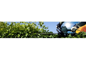 Gartenpflege in Essen – Sonnenschein Veysel Bektas