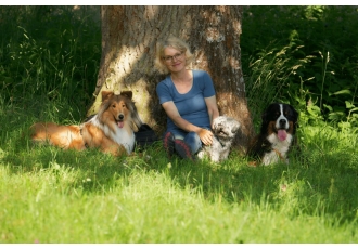 Hundeschule in Stuttgart – Frohe Hunde