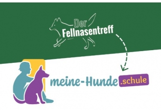 Hundeschule in Kirchdorf – meine-hunde.schule Hundeschule in Kirchdorf – meine-hunde.schule