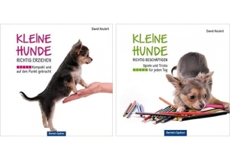 Hundeschule und Hunderatgeber in Bielefeld – Hunde.io