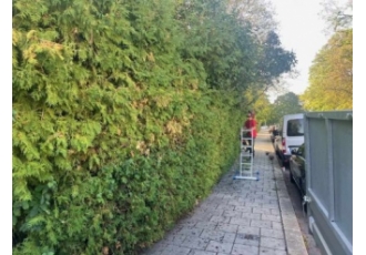 Gartenpflege in München – Patrick Weihe