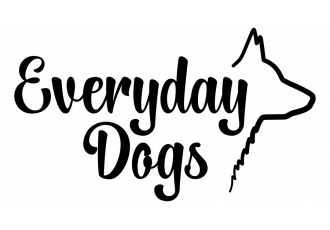 Hundeschule in Stuttgart – Everyday Dogs