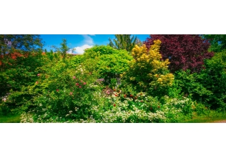 Garten- und Landschaftsbau in München – Pillau Bernhard