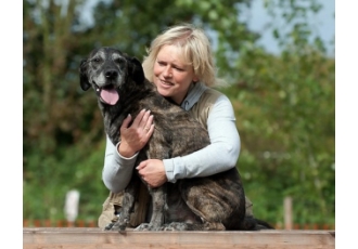 Hundeschule Dog Power