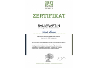 Baumpflege & Gartenpflege in Dresden – BaumLandPflege