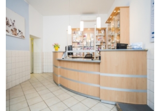 Tierphysiotherapie Berlin Physiotherapie für Hunde und Katzen Uwe Lenk