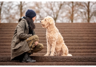 Loubo hundetraining Loubo hundetraining