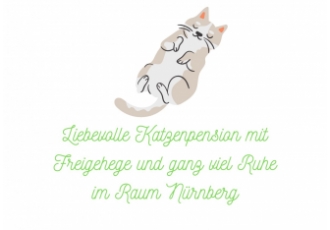 Katzenpension himmlisch betreut