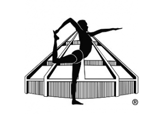 IYENGAR Yoga – Nadine Meinel