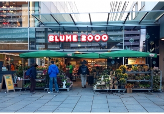 Blume 2000