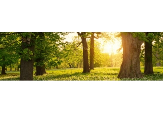Ergotherapie am Park GmbH