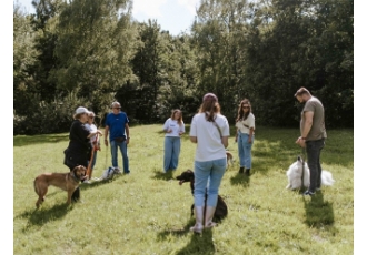 Meynhundetraining