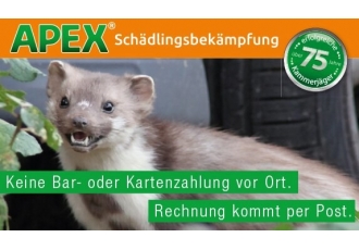 Schädlingsbekämpfung in Köln – APEX Schädlingsbekämpfung Schädlingsbekämpfung in Köln – APEX Schädlingsbekämpfung