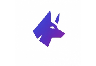 Tech Wolf Services Tech Wolf Services