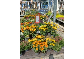 Baumarkt für Heimwerken, Bauen und Garten in Dortmund – HELLWEG Baumarkt für Heimwerken, Bauen und Garten in Dortmund – HELLWEG