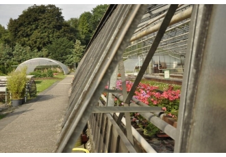 Romantik Gärtnerei Blumen Peeters