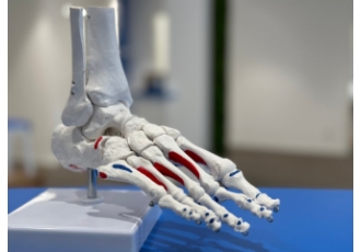 Orthopädie Technik Kächele GmbH Sanitätshäuser Orthopädie Technik Kächele GmbH Sanitätshäuser