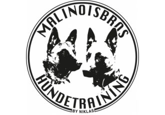 MalinoisBros Hundetraining by Niklas MalinoisBros Hundetraining by Niklas