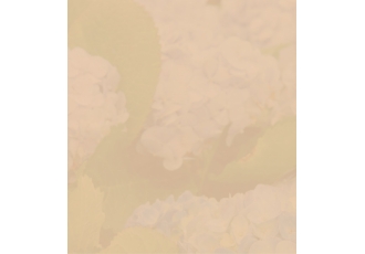 Hans Truffel Schnittblumen Großhandel GmbH