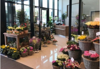 Blumen Wolframm Gmbh Blumen Wolframm Gmbh