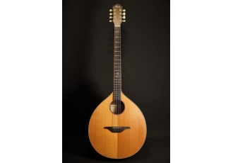 Stevens Coustom Guitars Stevens Coustom Guitars