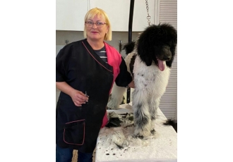 Hundesalon in 10589 Berlin – BerlinerSchnauze