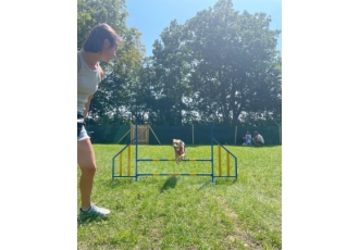 Hundeschule in München – Krupa Manuel