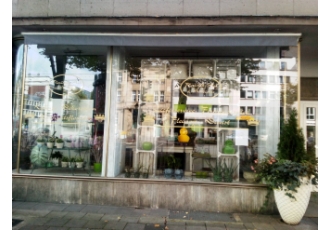 Floristik Art & Ambiente (Knopp Wolfgang)