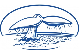 Tauchschule Mariteam Divers Tauchschule Mariteam Divers