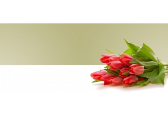 Blumen Hubein Inhaberin Diana Hubein Blumen Hubein Inhaberin Diana Hubein