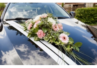 Blumen und Floristik in Dresden – Blumenhaus Mehnert