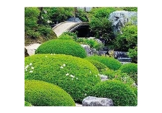 Garten- und Landschaftsbau in Erkrath – HaGart Garten- und Landschaftsbau in Erkrath – HaGart