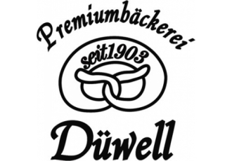 Karl Willi Düwell