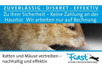 Schädlingsbekämpfung in Köln – Fürst
