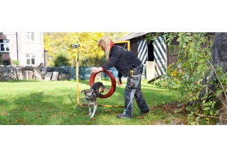 Hundezentrum Canidos GmbH Hundezentrum Canidos GmbH