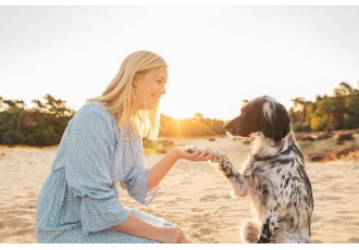 persodog Mensch Hund Coaching Felicitas Engel persodog Mensch Hund Coaching Felicitas Engel