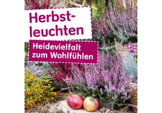 Blumen Risse Gartencenter Dortmund Sölde
