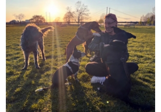 Hundeschule in Düsseldorf – Der Hundemann Hundeschule in Düsseldorf – Der Hundemann