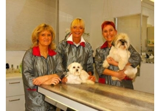 Hundesalon in Düsseldorf – Claudia Franke