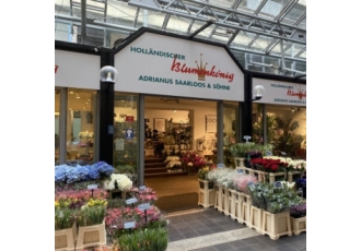 Holländischer Blumenkönig Holländischer Blumenkönig