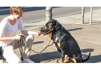 Katrin Salzsieder Coaching für Mensch und Hund Katrin Salzsieder Coaching für Mensch und Hund
