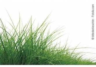 Garten- und Landschaftsbau in Remscheid – Pawlik Klaus Garten- u. Landschaftsbau