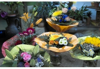 Blumen Hellings Blumen Blumen Hellings Blumen