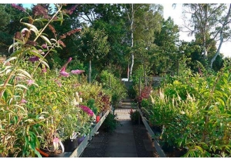 Gartenzentrum in Berlin – GartenBaumschule Schneider Gartenzentrum in Berlin – GartenBaumschule Schneider