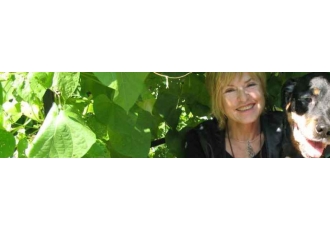 Tierärztliche Praxis für Verhaltenstherapie Renate Jones Baade
