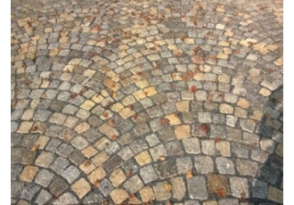 Garten- und Landschaftsbau in Coswig – TSF Tief- und Straßenbau
