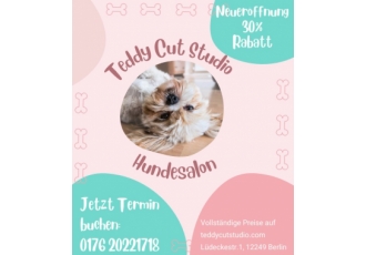 Teddy Cut Studio Teddy Cut Studio